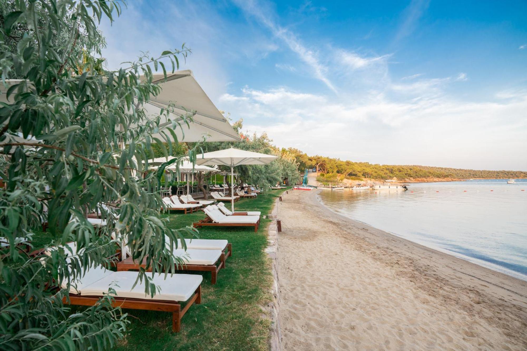 Ortunc Hotel - Cunda Island (Adults Only) Ayvalı Eksteriør bilde