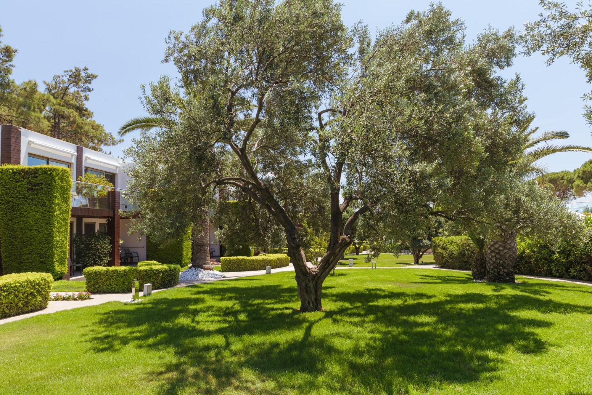 Ortunc Hotel - Cunda Island (Adults Only) Ayvalı Eksteriør bilde
